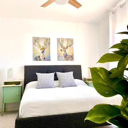 Apartment Luz De Conil Aire Acondicionado Y Wifi -solo Familias Y Parejas- *